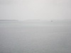 IMG 1908